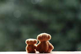 two brown teddy bears free stock photo