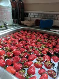 10 step strawberry rhubarb melomel tutorial