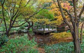 sf botanical garden wedding