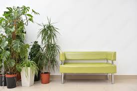 Golden Sofa And Large Indoor Plants