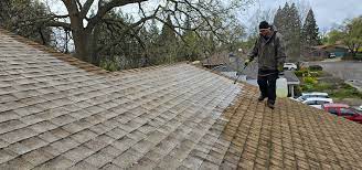 roof cleaning services sierra vista