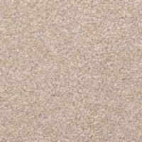 dixie home carpets stainmaster