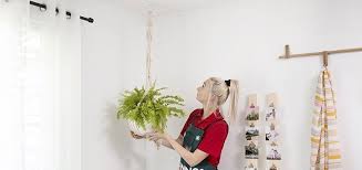 How To Hang Indoor Plants From The