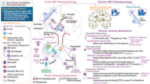 Multiple sclerosis is a disease of the central nervous system that results in the malfunctioning of the brain's communication with the nerves. Multiple Sclerosis Pathophysiology Pharmacology Part 2 Draw It To Know It
