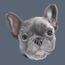 Typically a french bulldog with have 3 puppies in each litter. French Bulldog Puppy Drawing By Artistsquest