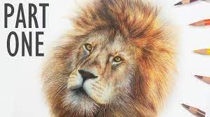 to draw a lion with colored pencil