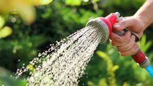 spray settings on your garden hose