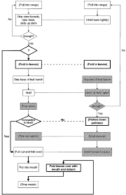 Flow Chart Of Pandora Eating Nettle Operations That Were