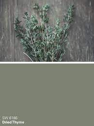 Dried Thyme Sw 6186 Green Paint Color