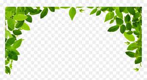 leaves border clipart png transpa