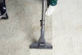 carpet cleaning the shines group