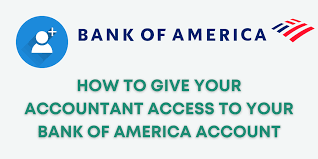 accountant access to your bank of