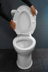 Toilet Seat Removable With