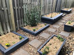 Setting Up A Home Vegetable Garden