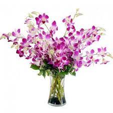 We did not find results for: Melbourne Devine Choice Flower Delivery 15 Stems Purple Orchids Flower Delivery Melbourne Online Florist Melbourne