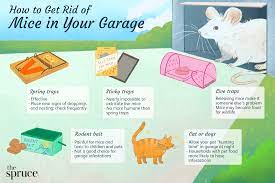 how to get rid of mice in your garage