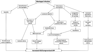 The Role Of Icp Monitoring In Meningitis In Neurosurgical