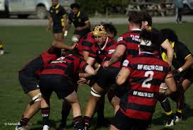 canterbury rugby