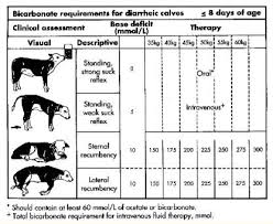 Calf Diarrhea Bd Less Than 8 D Therapy Calves Clinic