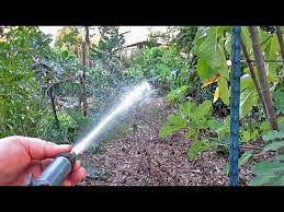 Foliar Spray Plant Fertilization How