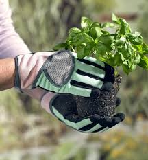 Women S Garden Gloves Lee Valley Tools