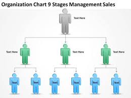 organization chart 9 stages management