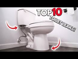 toilet leaks