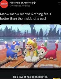 Nintendo of America Meow meow meow! Nothing feels better than the inside of  a cat! ~ ~ / This Tweet has been deleted. - iFunny Brazil