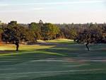Twisted Oaks Golf Club | Tampa Golf Courses | Tampa Bay Golf