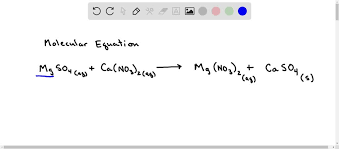 Net Ionic Equation