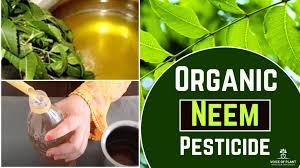 how to make neem pesticide at home