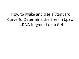 Tutorial How To Make And Use A Standard Curve Gel
