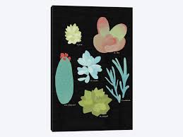 Succulent Plant Chart Ii Canvas Art By Wild Apple Portfolio Icanvas