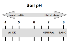 Soil Acidity And Liming Basic Information For Farmers And