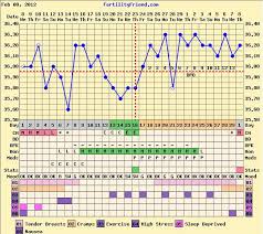My Charts Journey To Becoming A Mummy