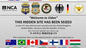 Dark web: Largest ever online child porn bust leads to 337 arrests |  Euronews