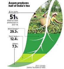 Indias Tea Industry Is Struggling To Move Up The Value