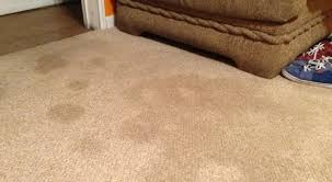 random wet spots on carpet mysterious