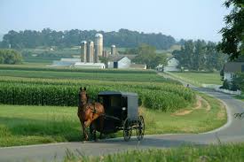 amish longevity may be due to genetic