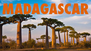 Oh sugar honey ice tea! Volunteer In Madagascar Top 10 Programs 2021 Volunteer World