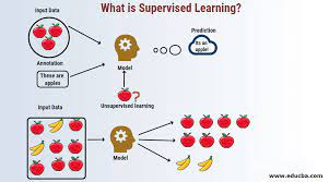 what is supervised learning concise