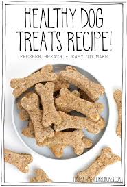 healthy dog treats recipe it doesn t