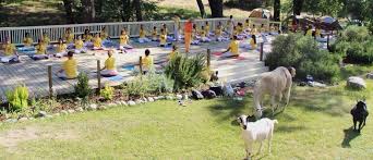 sivananda ashram yoga farm 14651