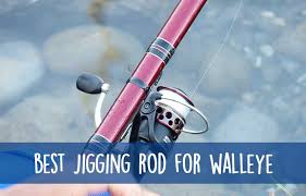 6 best jigging rod for walleye 2021