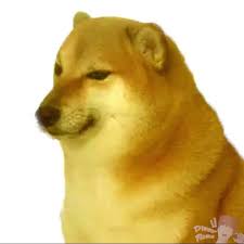 Talking doge green screen |. Favorite Tweet By Ditzyflama Funny Memes Doge Meme Dank Face