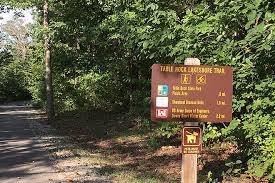 table rock lakes trail missouri