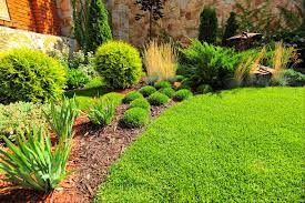 7 Backyard Landscaping Tips To Basement