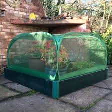 Raised Vegetable Bed Fruit Cage Combi
