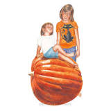 How big does a Big Max pumpkin get?