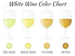 White Wine Color Chart Hand Drawn Wine Glasses